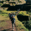 Amazing Inca Trail 