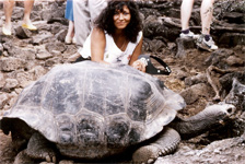 Galapagos Cruise and Basic Ecuador