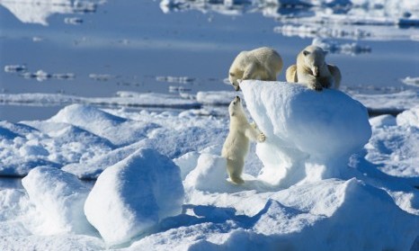 North Spitsbergen - Aurora Borealis