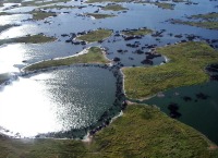 Pantanal and Bonito