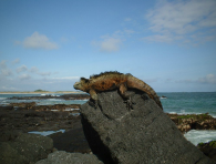 Galapagos island hopping